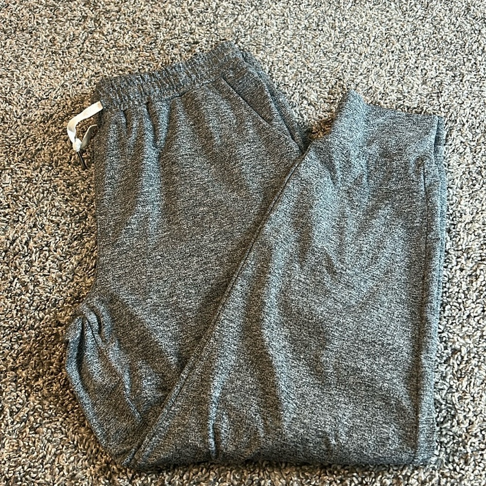 EUC Zyia Gray Downtime Joggers RC